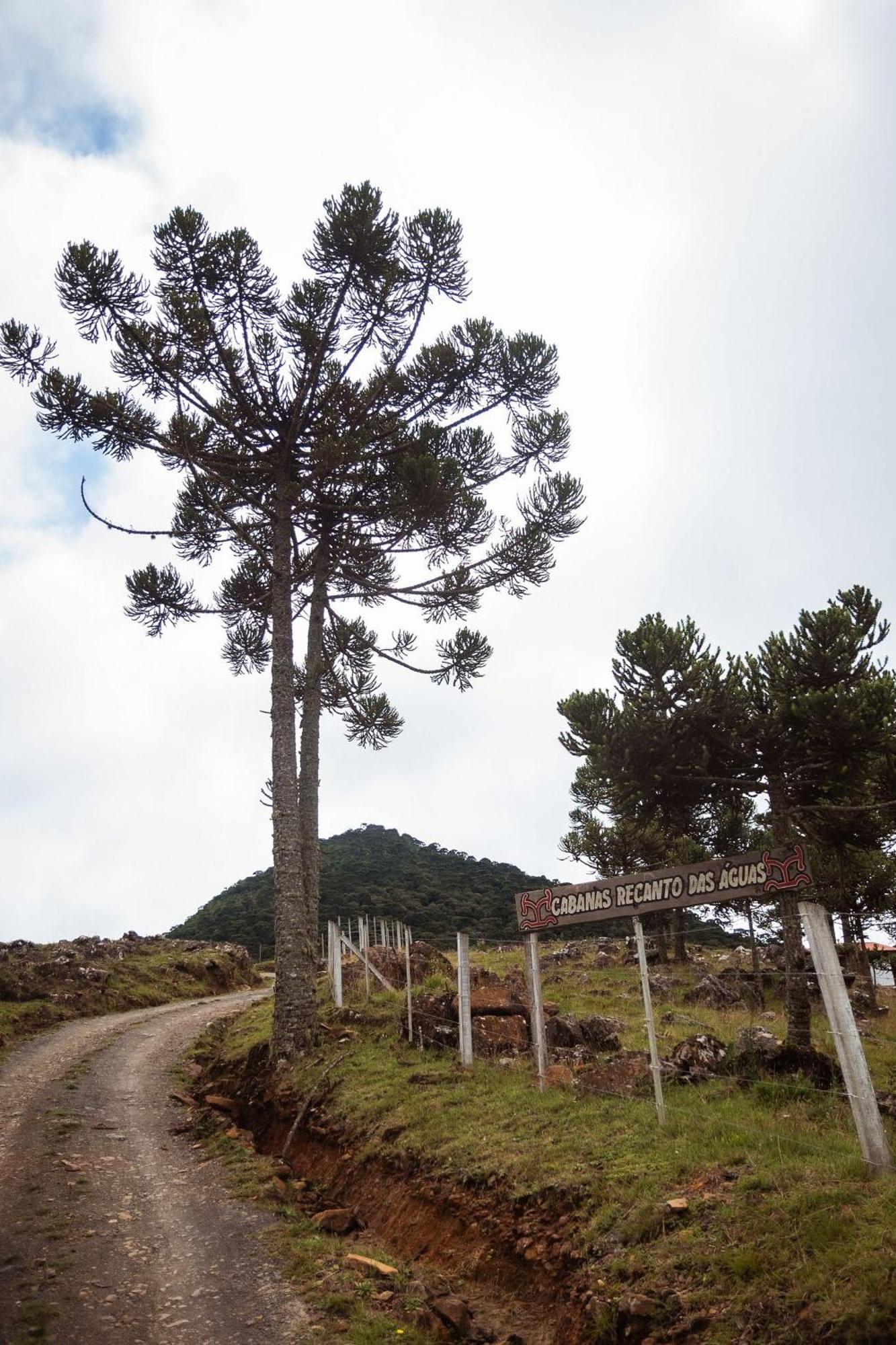 Recanto Das Águas Urubici Esterno foto