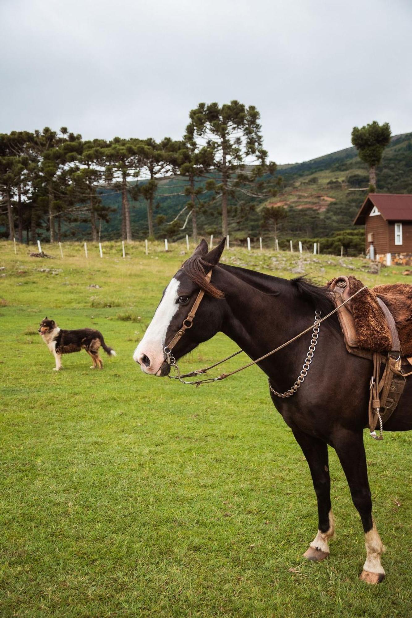 Recanto Das Águas Urubici Esterno foto